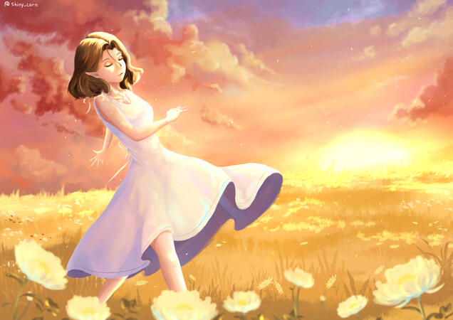 Dancing in the sunset